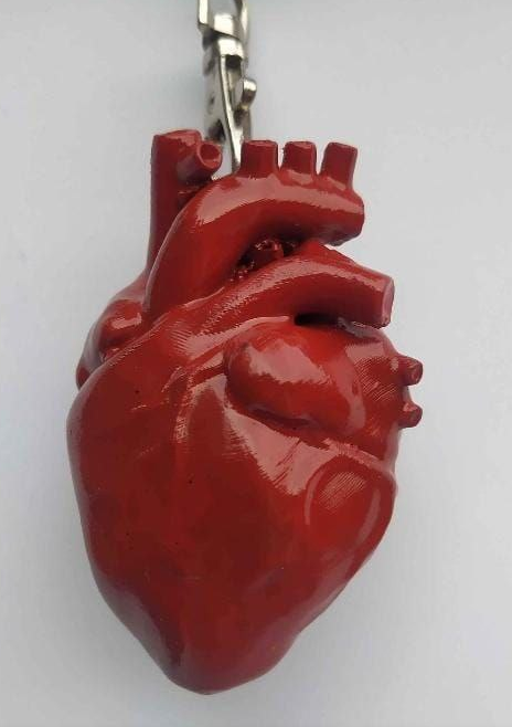 coração chaveiro chave argolas humano corpo amar ventrículo 3D print model - Mito3D