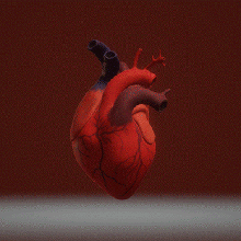 corazón Arte medicamento 3d print model - Mito3D
