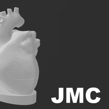 heart anatomy medicine 3d print model - Mito3D