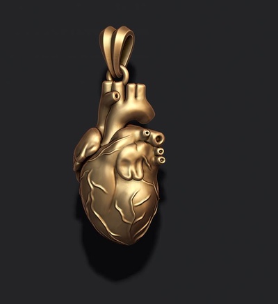 cuore pendente 3d stampa modello gioielleria anatomia aorta coronarica cardiaco attraversare precedente muscolare organo sangue polmonare carta cor tricuspide umano 3d print model - Mito3D