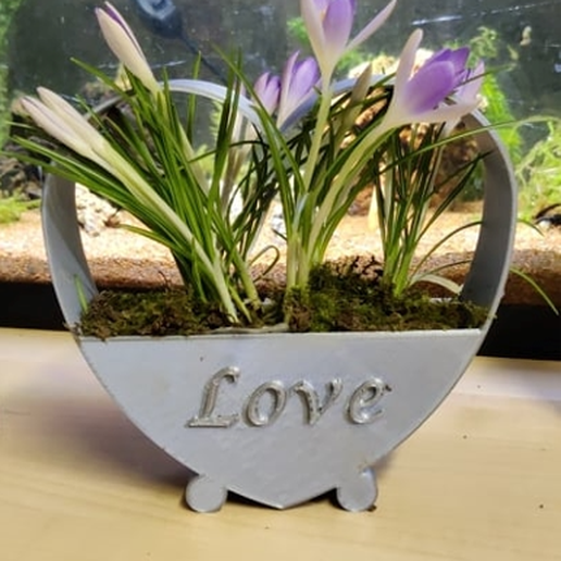 cœur plante pot Saint Valentin l'amour 3D print model - Mito3D