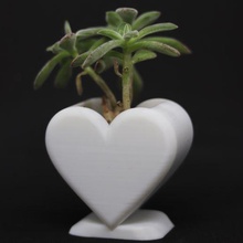 heart planter love gift valentine happy plants plant garden green cactus succulent succulents cacti cute red 3d print model - Mito3D