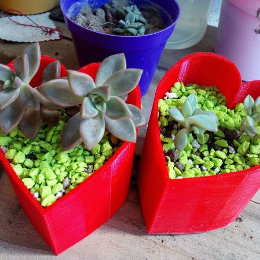 heart pot art green garden plants cactus 3D print model - Mito3D