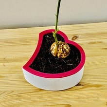 cuore forma self watering pentola fiori giardino casa ufficio pianta bonsai San Valentino serra 3d print model - Mito3D