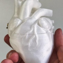 heart shaped box nirvana anatomy container valentine blood anatomical biology aorta 3d print model - Mito3D