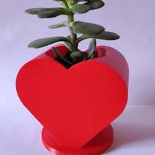 kalp şekilli kaktüs tencere çiçek vazo bitki aziz sevgili ev dekorasyon dekoratif Aşk sulu 14 Şubat Ikea 3d print model - Mito3D