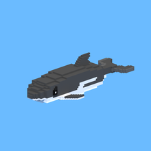hector's dolphin animal 3d print model - Mito3D