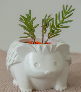 hérisson pot animal porc épic soumissionner maison décoration plantes Accueil 3d print model - Mito3D