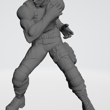 heidern Roi combattants xv 3d print model - Mito3D