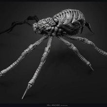 hell arachnid 3d print model - Mito3D