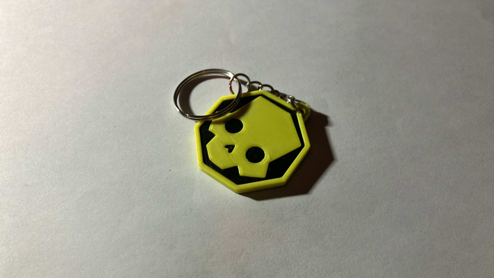 helldivers keychain jewelry 2 skull logo octagon custom tag keytag 3d print model - Mito3D