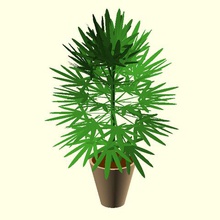 hemp art plants openscad ropes cannabis 3d print model - Mito3D