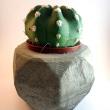 heptagone pot fleur géométrique Saks Saksi poly cact cactus Saftplantur 3d print model - Mito3D