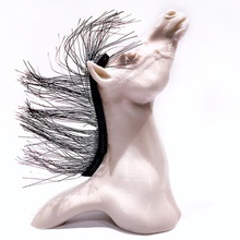 sua maestà capelli casa arredamento cavallo arabo 3d print model - Mito3D