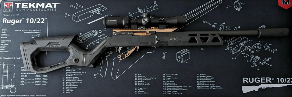 hera Waffen h22 Handschutz Ruger 10 22 kjw kc 02 Airsoft 3d print model - Mito3D