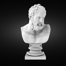 heracles bust 3d print model - Mito3D