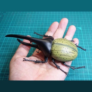hercules beetle dynastes insect animals 3d print model - Mito3D