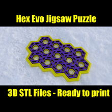 verhexen evo Puzzle Hexagon Muster Rätsel 3d print model - Mito3D