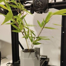 maleficio planta maceta reservorio herramienta plantador jardineras plantas 3d impresión 3d print model - Mito3D