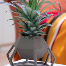 hexagone vase la maison bois le bambou epidendrum bromelia orchidée l'ananas 3d print model - Mito3D