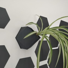 hexagonal magnetic wall-mounted pot vase home fridge refrigerator magnet magnetized cubic cube hexagon plant wall mural candy distributor box deco decoration design storage 3d print model - Mito3D