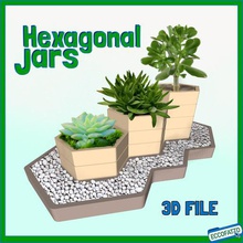 altıgen modüler kavanoz ev zen yaprak knick-knack bonsai süs bahçe tasarım pot vazo jar etli bitki 3d print model - Mito3D
