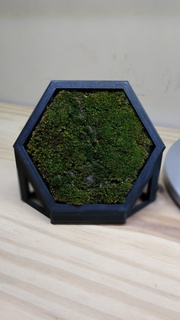 Hexamosrahmen sechseckig Moos Rahmen Büro Dekoration Kunst 3d print model - Mito3D
