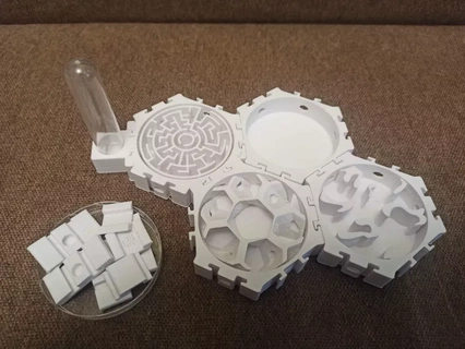 hexagonal formiga ninho formicarium 3d print model - Mito3D