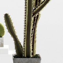 high definition cactus home storey nature decoration skewers spikes cement flowerpot 3d print model - Mito3D