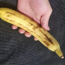 scan à haute résolution de la banane art fruits Numérisation 3d 3d print model - Mito3D