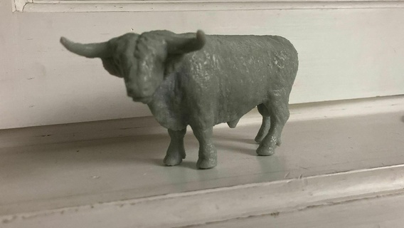highlander bull cow bull highlander 1 32  3d print model - Mito3D