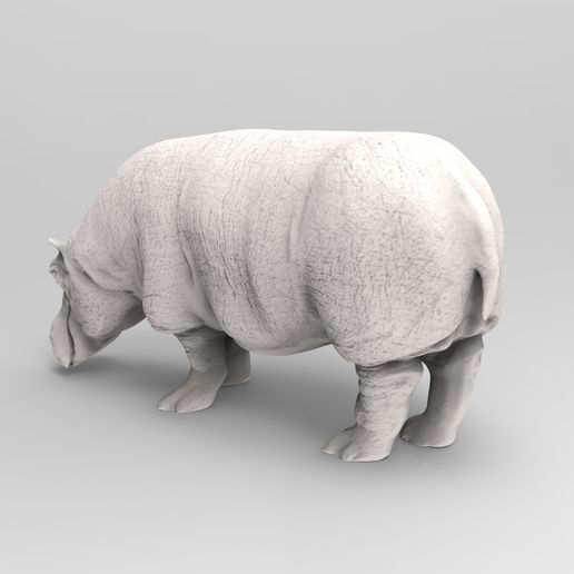 hippo 1 3D print model - Mito3D