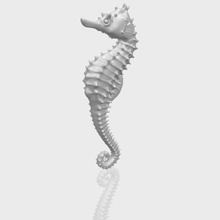 hippocampus sea horse 01 various car chair tree table sofa character game exterior human interior people girl house miniatures figurines sculpture animal zoo mammal dog 3d print model - Mito3D