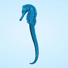 hippocamus vari animale mare ippocampo cavalluccio marino 3d print model - Mito3D