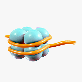 histone structure chromatin nucleosome h2a h2b h3 h4 nucleotides geneticmaterial nucleoproteins nucleicacids dnastructure dnaorganization chromosome molecular dna gene protein epigenetics micro 3d print model - Mito3D