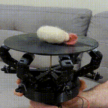 hoeken hand 3d printed spinning plate machine gadget linkage display art toy mechanism 3d print model - Mito3D