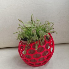 holed flower pot plant decoration present 3d print model - Mito3D