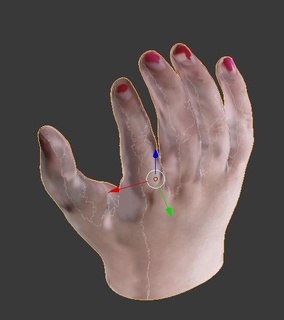 hollies hand test texture flesh multicolour prosthesis prosthetic prototype robot textured zcorp 3d print model - Mito3D