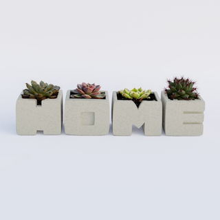 ev ekici tencere bitki vazo önbellek dekor 3d print model - Mito3D