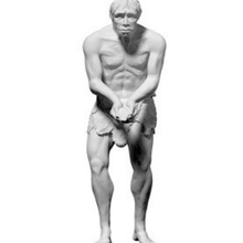 homo heidelbergensis modelo arte 3d print model - Mito3D