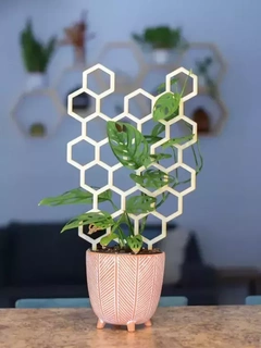 Favo pianta supporto 3d print model - Mito3D