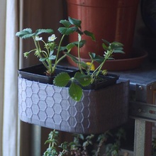 favo de mel plantador 3 a casa trilho din kit montagem vaso flores um planta 3d print model - Mito3D