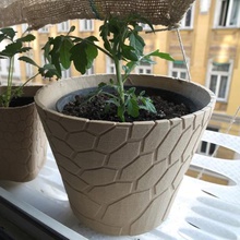 honeycomb planter 2 home cache pot flower planters 3d print model - Mito3D