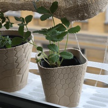 honeycomb planter 1 home cache pot flower plant 3d print model - Mito3D