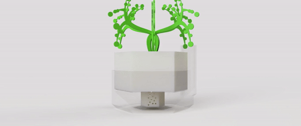 bal peteği tencere çiçek vazo 3d print model - Mito3D