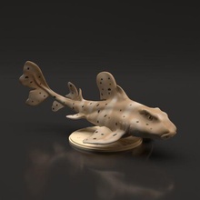 horn shark 3d print model - Mito3D