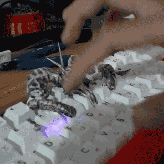 gehörnt Schädel Tier Tastenkappen mechanisch Tastatur Dunkelheit Ziege Schaf Horn Skelett gruslig Mitte Center Knochen gotisch Grusel cool Hardcore Handwerker 3d print model - Mito3D