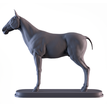 Pferd Kunst Statue Skulptur Miniatur Tier 3dptinting druckbar 3d print model - Mito3D