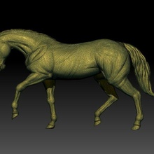 caballo animal cuadrúpedo granja naturaleza prados equino caballería 3d print model - Mito3D