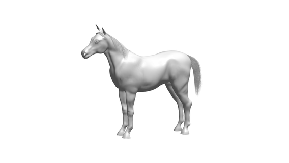 cavalo 3d print model - Mito3D